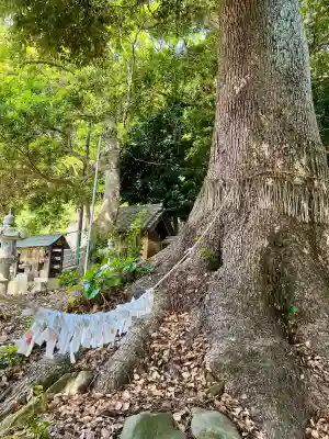 浅間神社(静岡県)