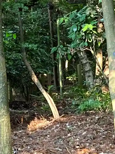 鹿島神宮(茨城県)