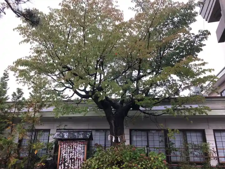 廣田神社~病厄除守護神~(青森県)
