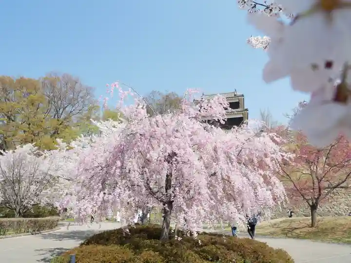 眞田神社の自然