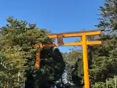 川越氷川神社(埼玉県)