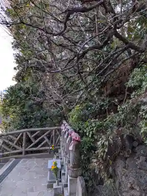 東長谷寺　薬王院(東京都)