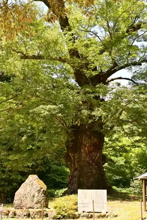 廣瀬神社(愛媛県)