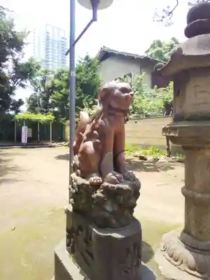 品川神社の狛犬