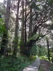 幣立神宮(熊本県)