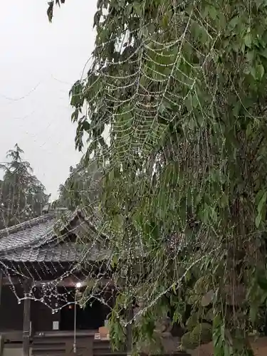 伏木香取神社の自然
