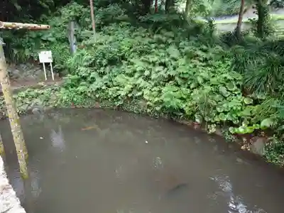 宗像大社中津宮(福岡県)