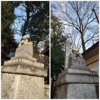 調神社の狛犬