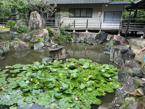 本光寺の庭園