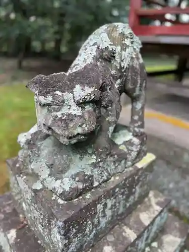 椋神社の狛犬