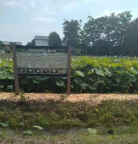 梁川八幡神社(福島県)