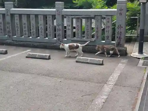 前原御嶽神社の動物