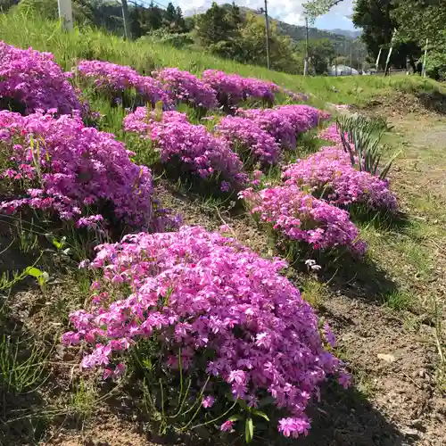 高司神社〜むすびの神の鎮まる社〜の自然