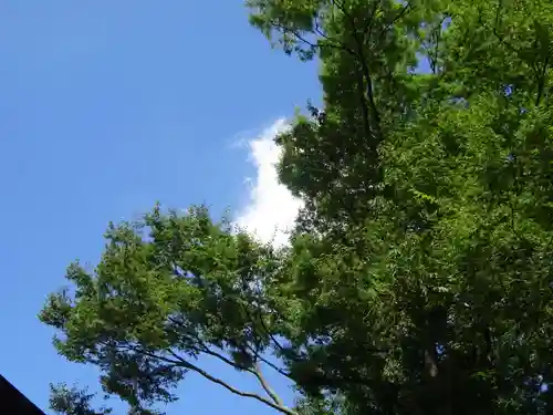 弥生神社の景色