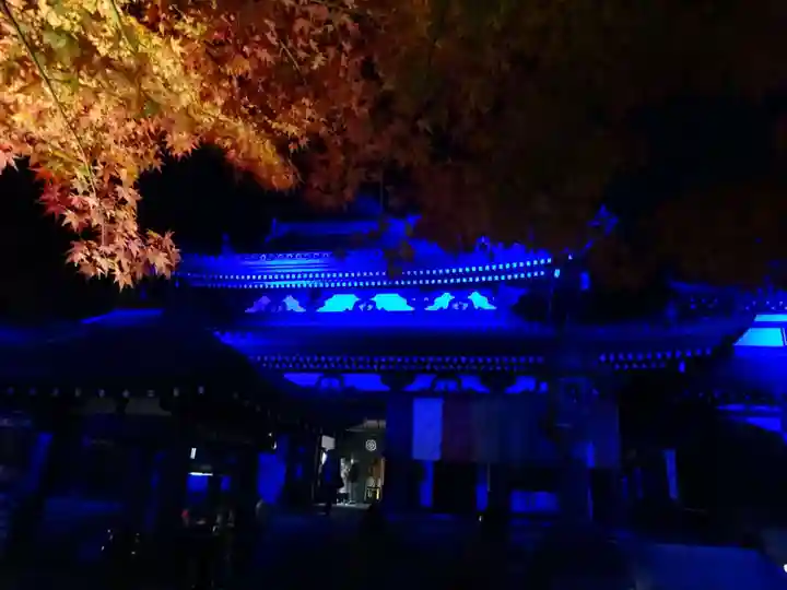 長谷寺の本殿・本堂