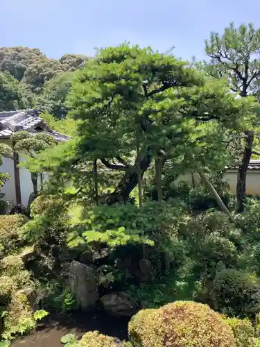 長岳寺の庭園