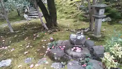 霊鑑寺門跡のその他建物