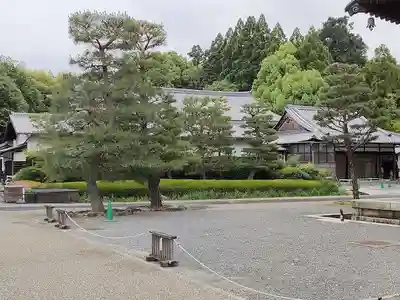 東福禅寺（東福寺）(京都府)