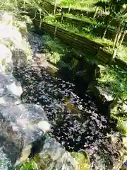 岡寺（龍蓋寺）(奈良県)