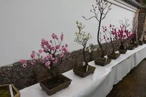 菅原天満宮（菅原神社）のその他建物