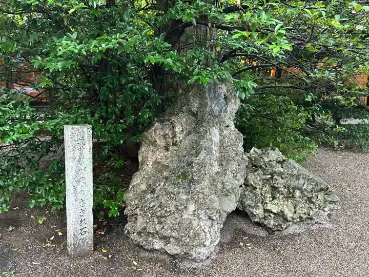 射水神社の自然