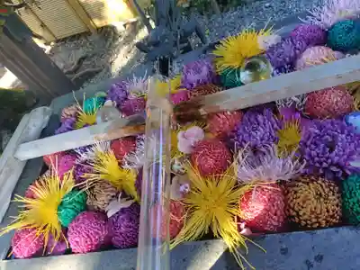 蛇窪神社(東京都)