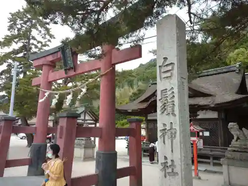 白鬚神社の鳥居