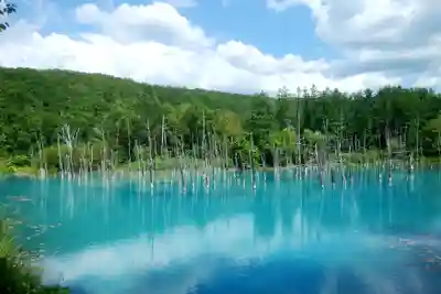 美瑛神社の周辺