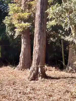 下溝八幡宮(神奈川県)