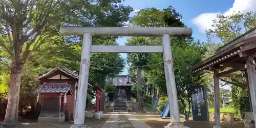 金杉神社の鳥居