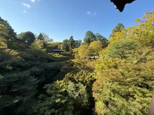 東福禅寺（東福寺）(京都府)