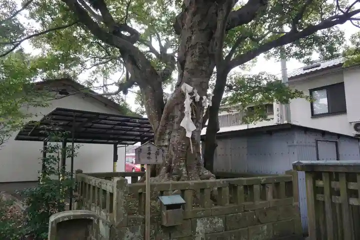 白潟天満宮のその他建物