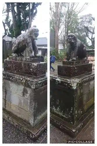 龍ケ崎八坂神社の狛犬