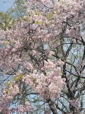 錦着山護国神社の自然