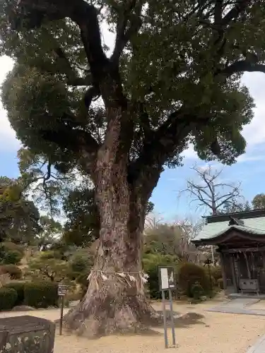 諏訪神社の{uncategorized: "未分類", other: "その他", undefined: "問題あり", building: "その他建物", grave: "お墓", sacred_gate: "鳥居", guardian: "狛犬", statue: "像", buddha: "仏像", history: "歴史", nature: "自然", garden: "庭園", animal: "動物", pagoda: "塔", temizu: "手水舎", mountain_gate: "山門・神門", sanctuary: "本殿・本堂", subordinate: "末社・摂社", art: "芸術", scenery: "景色", jizo: "地蔵", ema: "絵馬", goshuin: "御朱印", omikuji: "おみくじ", items: "授与品その他", amulet: "お守り", goshuincho: "御朱印帳", eats: "食事", festival: "お祭り", votive_dance: "神楽", shichigosan: "七五三参", wedding: "結婚式", experience: "体験その他", initially: "初詣", around: "周辺", anti_infection: "感染症対策"}