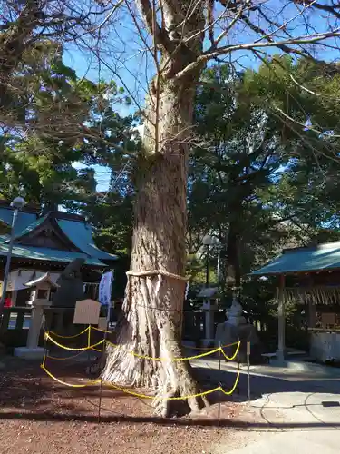 今宮神社の自然