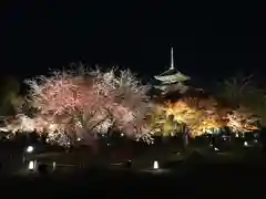 東寺（教王護国寺）(京都府)