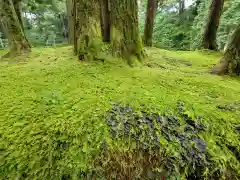 日光二荒山神社の自然