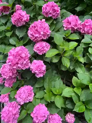 金剛宝寺（紀三井寺）(和歌山県)