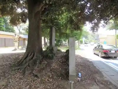 須賀神社の自然