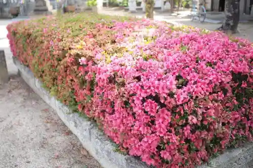 春日神社の自然