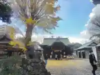 菊田神社の本殿・本堂