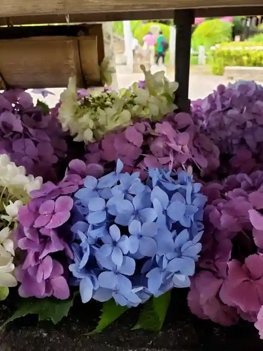 鳩森八幡神社の手水舎