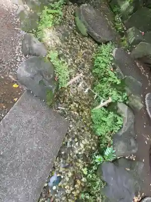 川越氷川神社(埼玉県)