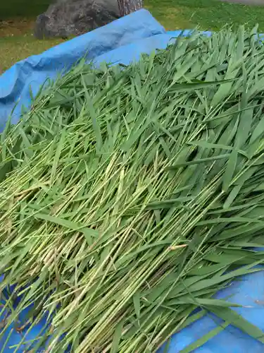 厚別神社(北海道)