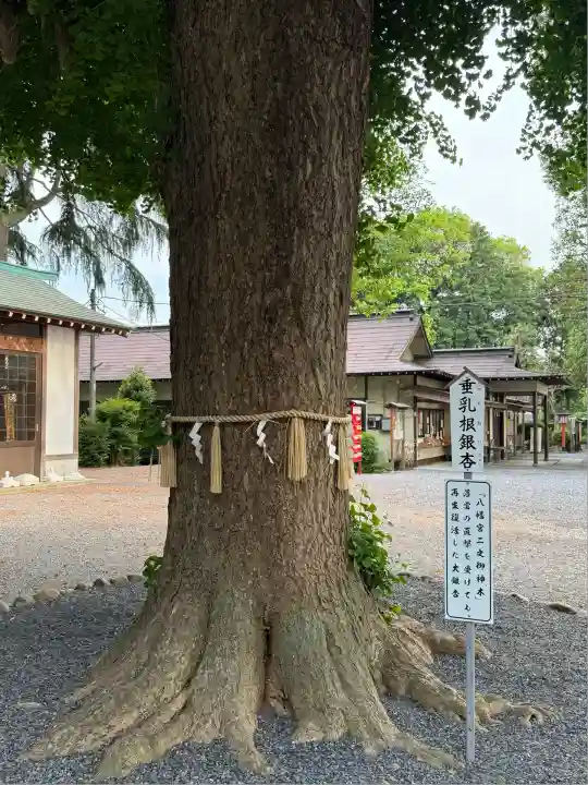 薬師寺八幡宮(栃木県)
