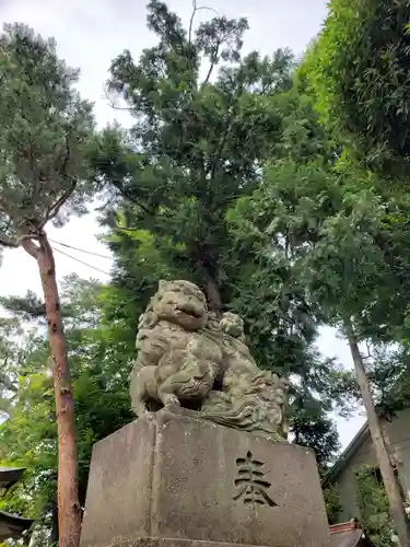 天沼八幡神社の狛犬