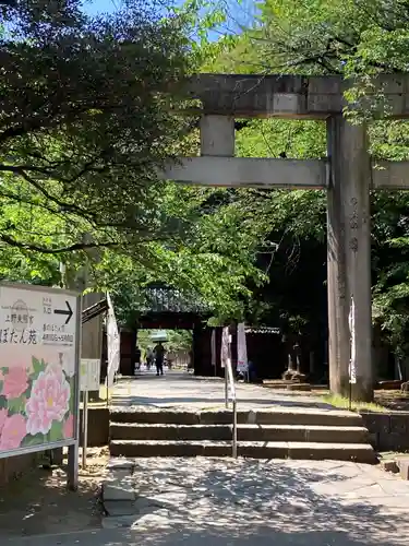 上野東照宮の鳥居