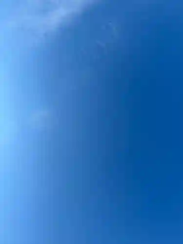 大杉神社(茨城県)