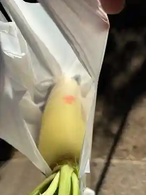 待乳山聖天（本龍院）(東京都)